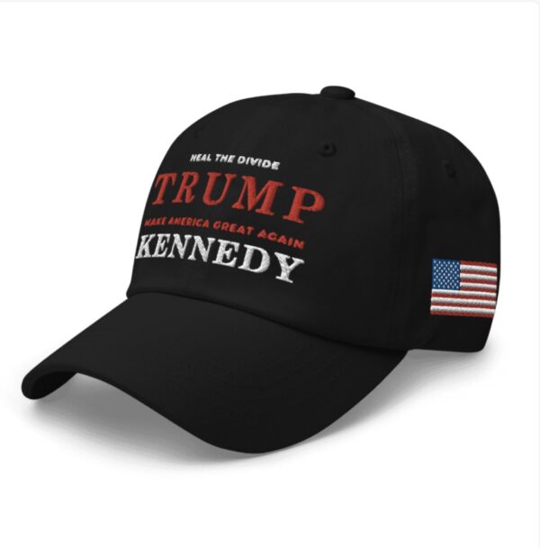 Heal the Divide Trump MAGA Kennedy Dad Hat USA