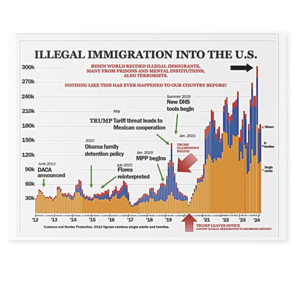 Illegal Immigration Chart Yard Sign