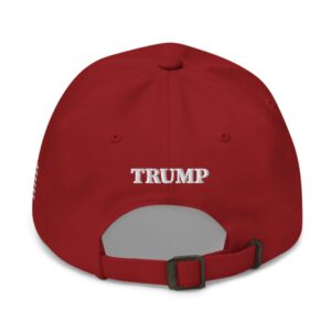 MAHA Trump 45-47 Hat