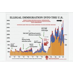 Trump Illegal Immigration Chart Car Magnet, Sticker