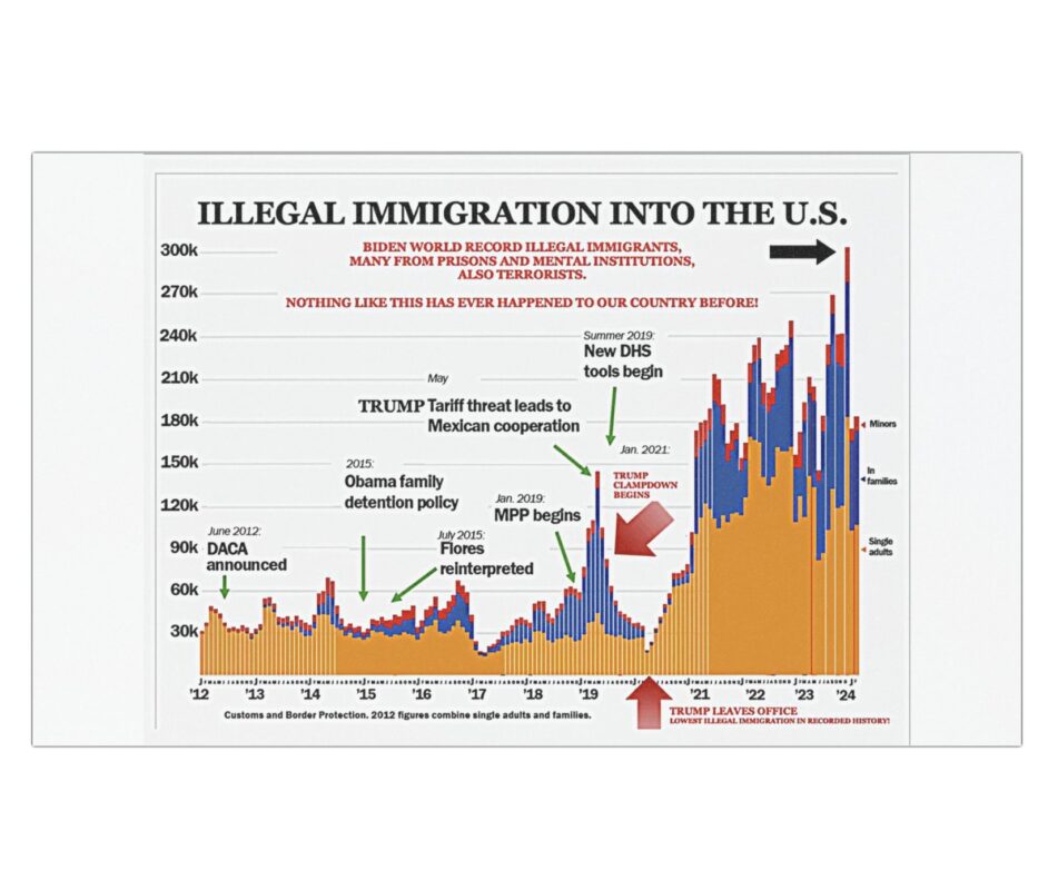 Trump Illegal Immigration Chart Car Magnet, Sticker