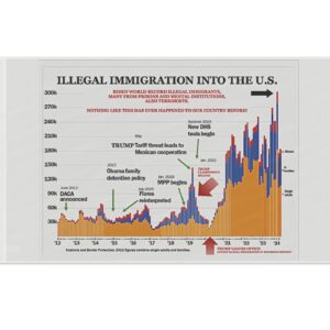 Trump Illegal Immigration Chart Flag