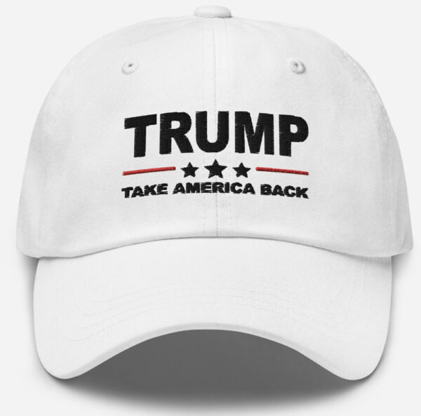 Trump 2024 Hat - Donald Trump 2024 - MAGA - Take America Back - Trump for President - 3D Embroidery - Adjustable Cap for Trump 2024