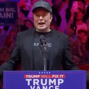 Elon Musk comes out in support of Trump in 'dark gothic MAGA' Hat1