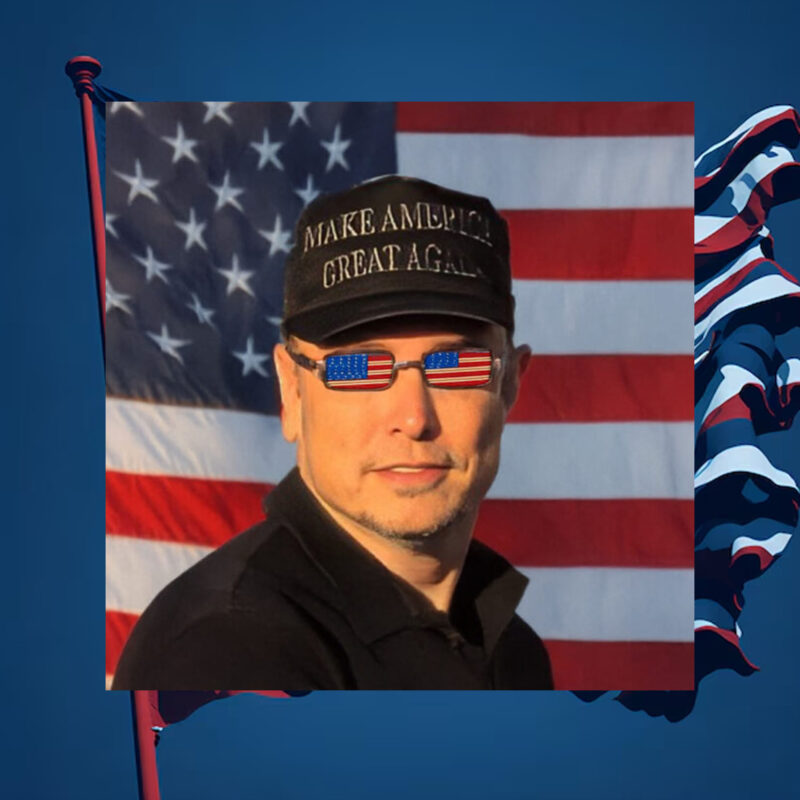 Dark MAGA HAT Elon Musk 20241