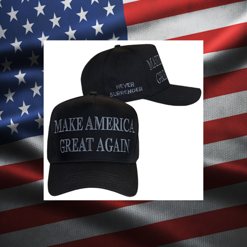 Dark MAGA Trump X Elon Musk Hat usa2