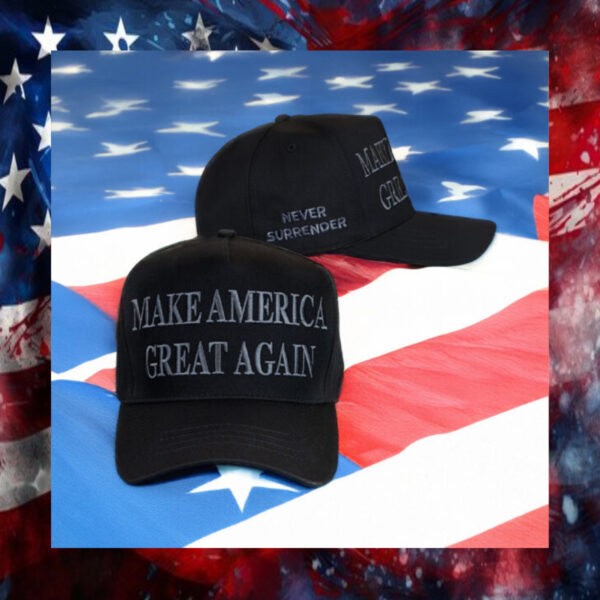 Elon Musk Dark MAGA Hat, usa1