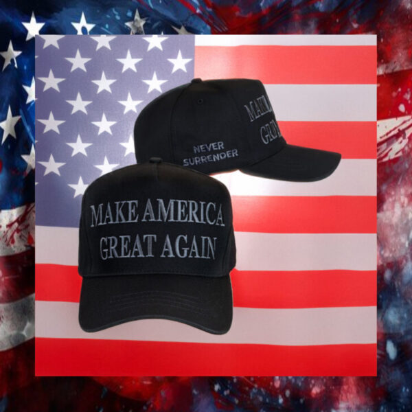 Elon Musk Dark MAGA Hat, usa2