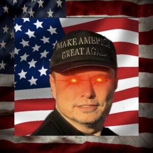 Elon Musk MAGA Hat 2024 usa