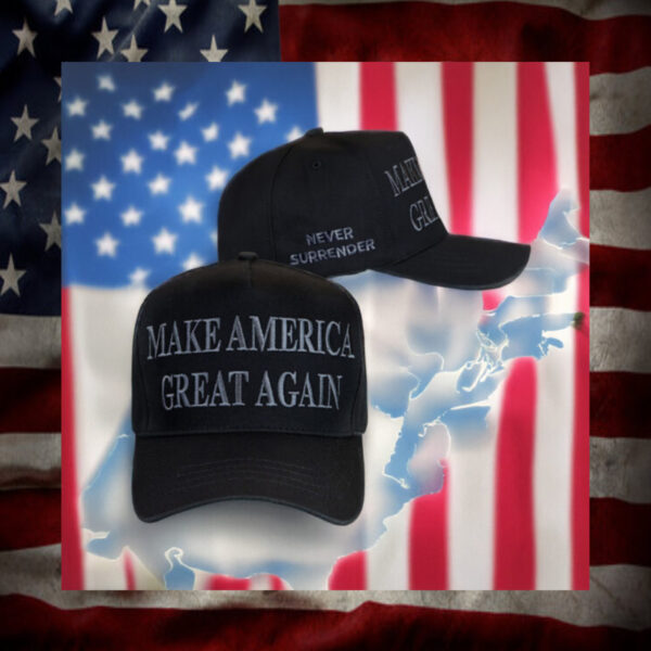 Elon Musk MAGA Hat 2024 usa2