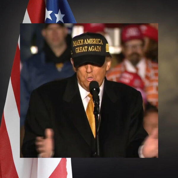 MAGA Navy & Gold Hat usa2