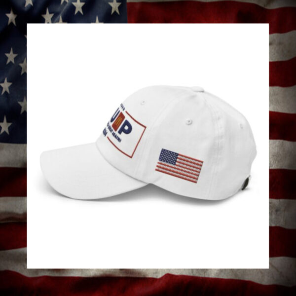 MAGADonald’s Hat usa1