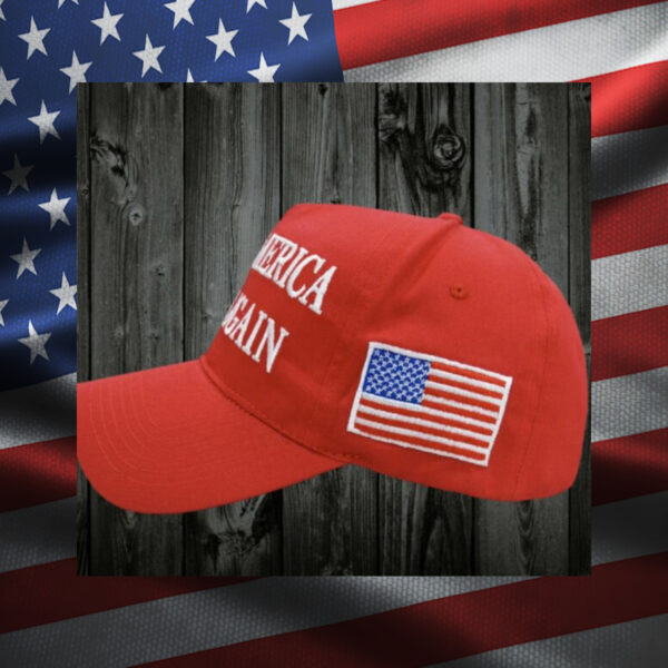 Premium Trump OFFICIAL 45-47 Hat usa2