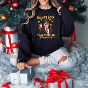 Trump's Back Thanksgiving Is Great Again 2024 Shirts, hoodie3